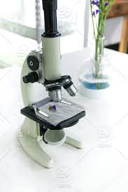 Organisms are composed of one or more cells 2. Microscope In Plant Cell Lab For Research And Tissue Culture Technology Laboratory Selective Focus Stock Photo 6eaa44f0 B7f3 42e1 84d7 8b2e5d430445