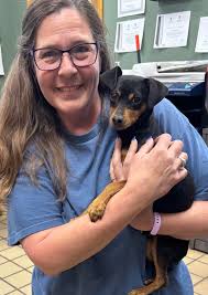 Let's welcome our new members: Cindy Wales-Schrieber, Dawn Roberts Irwin,  Monarae Moon, Bek Brooks, Nicole Michele, Julie Drummond, Carrie Bennett  O'Brien, Susie Vanderlaan, Tabitha Pyne, Julie Pendergast Bunn, Lori  Kibart, Irma Summeràll,