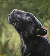Pin On Contemporary Wildlife Domestic Animal Paintings