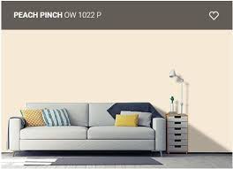 Nippon Paint Colour Code