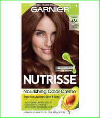 Garnier Semi Permanent Hair Color 12882 Garnier Permanent Hair Color Chestnut 1 Gm Buy Garnie Nourishing Hair Brown Hair Dye Garnier Hair Color