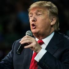 This Craft Brewery Really Wants Donald Trump to Quit the Presidential  Race-This Craft Brewery is Offering Donald Trump Company Shares-Delish.com