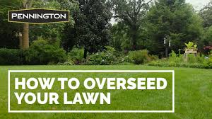 It all comes down to knowing what types of seed to put down and when to do it. How To Overseed Or Reseed Your Lawn