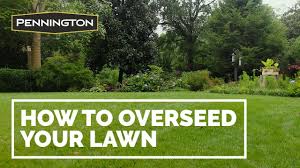 Best time to overseed lawns in the south. How To Overseed Or Reseed Your Lawn