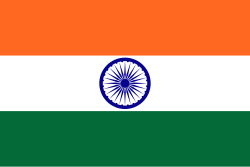 Bugsfree Indian