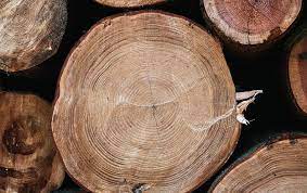 Radiocarbon dating compares the amount of radioactive carbon 14 in organic plants and animals to reliably estimate when the object died. Long Awaited Update Arrives For Radiocarbon Dating Scientific American
