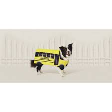 Halloween School Bus Cat Dog Costume S Hyde Eek