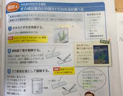 何故3で葉を熱湯にひたすのですか 理由を教えて欲しいです Clear