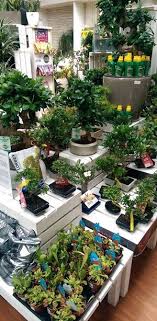 49 Trendy Flowers Shop Display Garden Centre Garden Center Displays Garden Center Flower Shop Display
