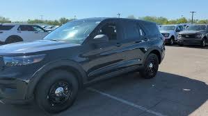 Image result for Arizona Beige 2024 Interceptor