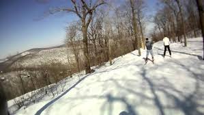 Blue Knob Stembogen Bowl