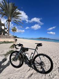 Winter sunshine in Mallorca lean