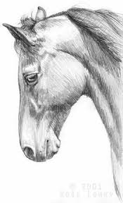 Pin Van Tillantuura Op Draw Paard Tekeningen Dieren Tekenen Wilde Dieren Kunst