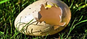 Blumen und bücher gibt's zum trost, statt bier und shopping. Harter Lockdown An Ostern Wasserburger Stimme