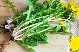 Check spelling or type a new query. 12 Health Benefits Of Dandelion Leaves And Dandelion Root Infographic