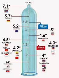 What Is The Average Size Of A Penis In Asia Quora