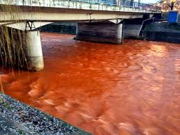 Trimisi la fata locului, inspectorii garzii nationale de mediu maramures au. Video Ape Poluate La Baia Mare Primarul Catalin Chereches Si Localnicii Arata Cu Degetul Spre Garda De Mediu Maramures Pagina De Transilvania