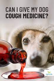Can i give my dog cough medicine? 5 Natural Alternatives To Cough Medicine For Dogs Dogs Naturally Cough Medicine For Dogs Dog Cough Remedies Cough Medicine