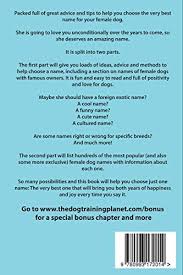 When picking a name for a strong female dog, some go with feminine, and some are picking which sounds tough. Female Dog Names A Complete Guide To Help You Name Your Cute Girl Puppy Packed Full Of Fun Methods And Ideas To Help You As Well As A Massive A To Z