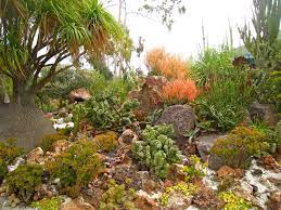 Underwater Succulent Garden Succulents Garden Succulents Botanical Gardens