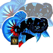 Check spelling or type a new query. Vector Ikan Cupang Gambar Ikan Cupang Ikan