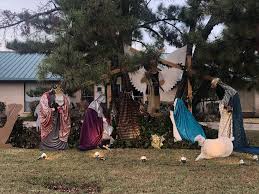 Hark! The Christmas flamingos have arrived