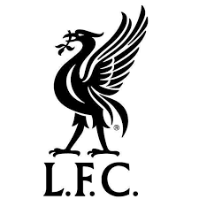 Men's black jacket, liverpool fc, fans, group of people, crowd. Liverpool Fc Black Liverbird Decal Anfield Shop