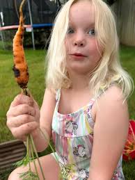 Carrots grow in abandoned growbox after 4yo plants seeds