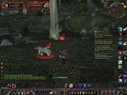 Here you can calculate how many camels your girlfriend or boyfriend is worth. Warmane Forum