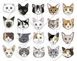 Black And White Siamese Cat Drawing Cat Faces Clipart Black White Tabby Siamese Sphynx Etsy In 2020 Cat Face Cat Face Drawing Cat Drawing