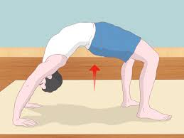 Kuvahaun tulos haulle bridge gymnastics