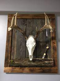 European Mount Ideas Diy Enjoy Future Mounts With A New Look And Endless Ideas Hunting Themed Bedroom Deer Antler Decor Deer Hunting Decor