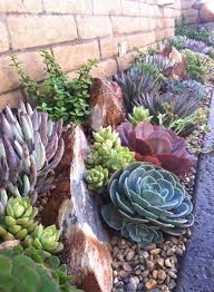 Plantas Suculentas Architectural Landscape Design Rock Garden Landscaping Succulent Landscape Design Succulent Landscaping