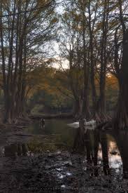 Image result for tbn:ekRZeqiUkU8b5M::www.hormiga.org/fondosescritorio/wallpapers/Paisajes-y-naturaleza/fotos/Paisajes-22.jpg