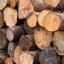 Firewood sale $0 hide this posting restore restore this posting. How To Get Free Lumber For All Of Your Diy Projects
