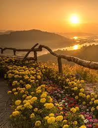 Obituary information for Valinda "Lynn" Faye Garrett Hawkins