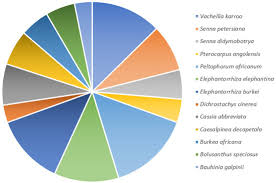 Image result for Eriosema burkei