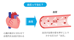 ãè¡å§ ä»çµã¿ ã¤ã©ã¹ããã®ç»åæ¤ç´¢çµæ
