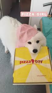 A R Y A Pinterest Riddhisinghal6 Animals Friends Furry Friend Cute Animals