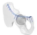 FAP Iliopubic Anterior Column Anatomic Locking Plate,Medical ...