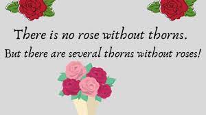 Thorne, and john archibald wheeler.it was originally published by w. Latest 2020 101 Quotes About Roses Life Love And Thorns