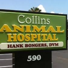 We offer the best care for pets of all ages. Veterinarian In Merritt Island Fl Collins Animal Hospital