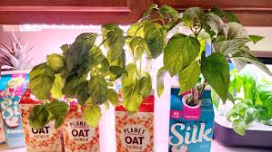 Image result for Yellow 1977 Caloric