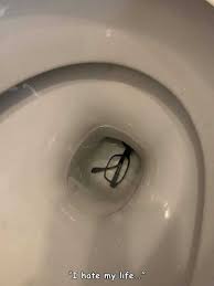 If you enjoy these pics, please share this post on facebook or twitter so that everyone can enjoy them as. 44 Random Pictures With Captions Klyker Com