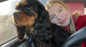 How proposed tariffs could drive up the price of pet care for owners