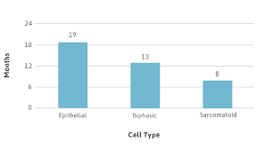 Those with epithelial malignant pleural mesothelioma who undergo surgery to remove the cancer but not remove the lung with the addition of photodynamic therapy and chemotherapy, had a median survival of 3 years. Mesothelioma Survival Rates