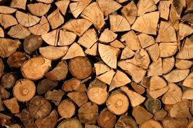 Other critters move in after firewood is cut and stacked. Firewood Delivery Free Delivery To Boulder Co Roots And Shoots Tree Care