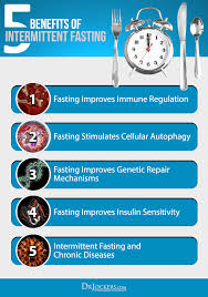 Intermittent Fasting Boosts Your Immune System Coconut