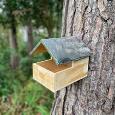 Image result for Flyte Blackbird Nest Box