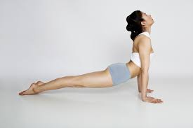 Urdhva Mukha Svanasana Upward Facing Dog In 2020 Upward Facing Dog Yoga Athletic Sports